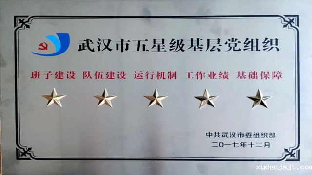 武汉市五星级基层党组织
